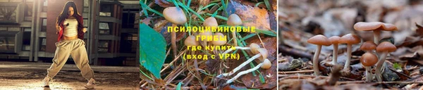 jwh Инсар