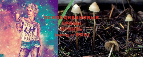 jwh Инсар